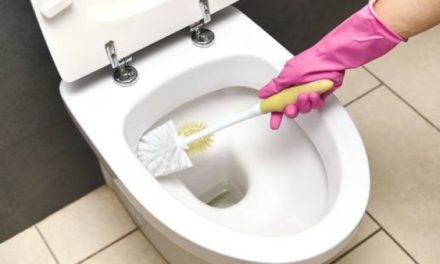 Bad putzen: Ungewöhnliches Hausmittel macht die Toilette total sauber