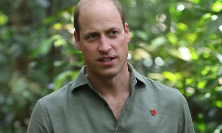 Prinz William: Arbeit der Königsfamilie: Er will “einen Schritt weiter gehen” | BUNTE.de