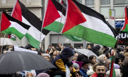 Pro-Palästina-Demos: UN-Menschenrechtsrat kritisiert Deutschland