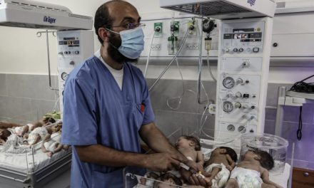 Gaza: 31 Frühgeborene aus Al-Schifa-Klinik gebracht