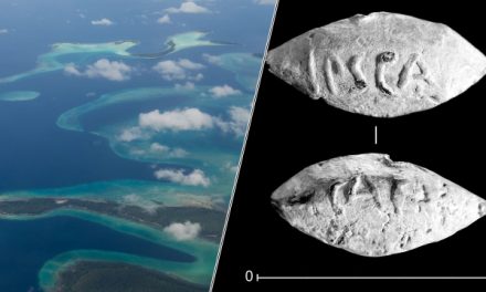 5 stories making science news this week: A Pacific ‘superstructure’ and an ancient Roman bullet