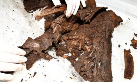Sogar ein Organ noch erhalten: Archäologische Sensation – 2’500 Jahre alte Leiche gefunden | blue News