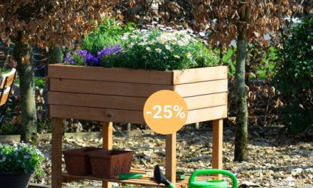 Lidl senkt Preis für Hochbeet um 25 Prozent: Perfekt für die Gartensaison