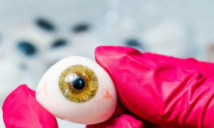 Wissenschaftler:innen machen große Fortschritte bei 3D-gedruckten Augen
